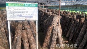 장흥군버섯산업연구원, 표고 국산품종 육성 성공