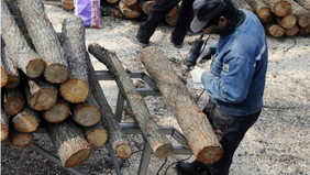 버섯 전문인역 양성에서 실습생들이 버섯재배를 위한 재배 나무를 작업하는 모습을 담은 사진