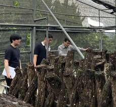 Jangheung Research Institute for Mushroom Industry operates a day to visit oak mushroom cultivation sites.