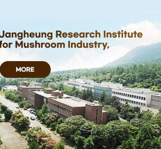 Jangheung Research Institute for Mushroom Industry