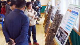 여러 사람들이 강당에서 표고버섯 재배 나무와 재배 나무 옆에는 관련 설명이 적힌 판넬들을 보며  둘러보고있는 모습을 담은 사진