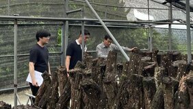 박승배 장흥군버섯산업연구원장 과 2명의 연구원이 표고버섯 재배 현장을 방문하여 재배상황을 확인하는 모습을 담은 사진