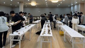 2026 채집한 버섯 및 균류 생태조사 모습