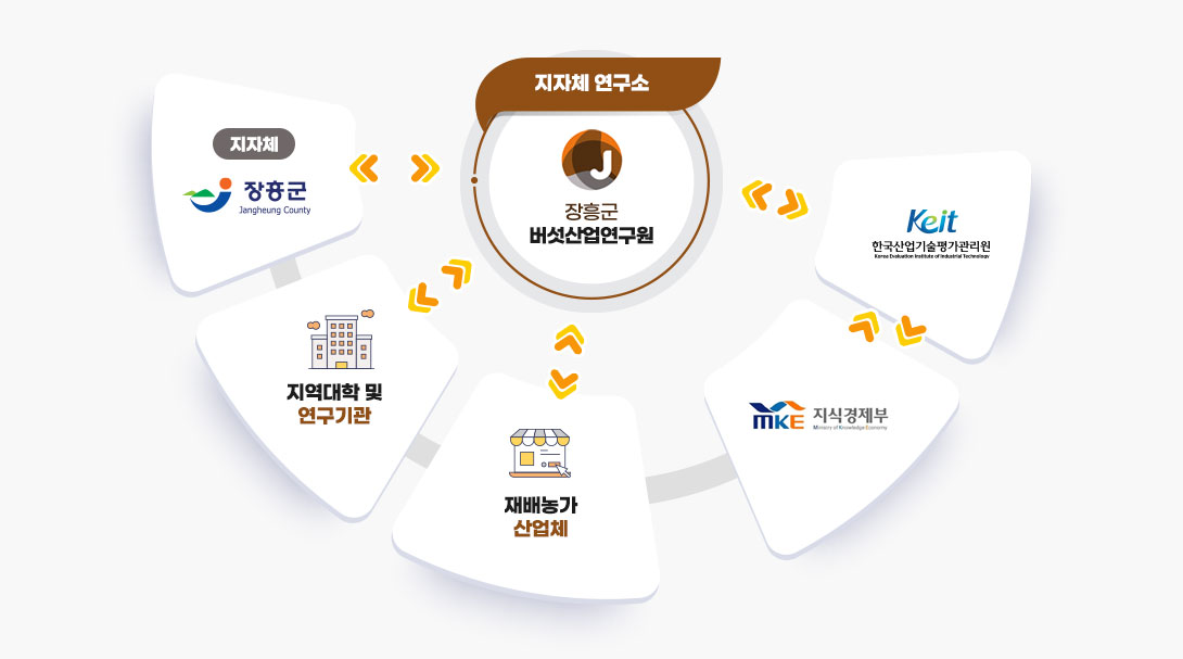 지자체 연구소 장흥군버섯산업연구원은 지자체 장흥군, 지역대학 및 연구기관, 재배농가 산업체와 연계되어있으며, 지식경제부는 한국산업기술평가관리원과 연계 한국산업기술평가관리원은 장흥군버섯산업연구원과 연계되어 있다.