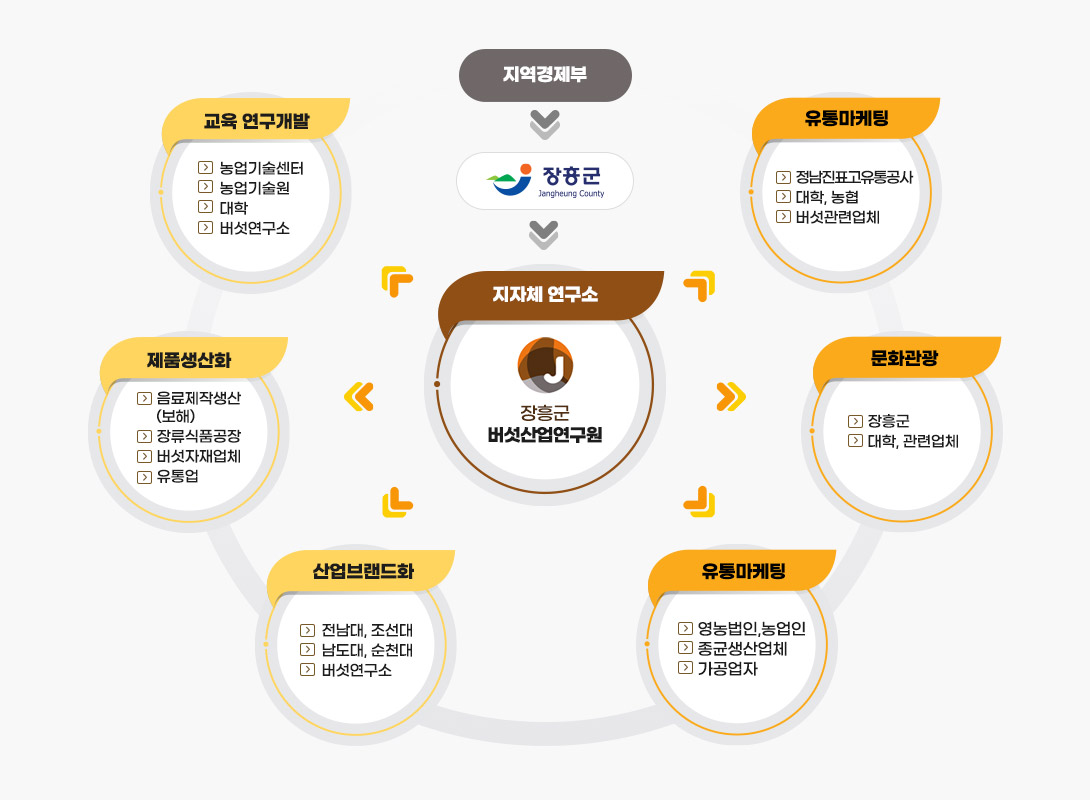 지역경제부 → 장흥군 → 지자체 연구소 장흥군 버섯산업연구원 순으로 연계되어 장흥군버섯산업연구원에서는 교육연구개발(농업기술센터, 농업기술원, 대학, 버섯연구소), 제품생산화(음료제작생산(보해), 장류식품공장, 버섯자재업체, 유통업), 산업브랜드화(전남대,조선대, 남도대, 순천대, 버섯연구소), 유통마케팅(영농법인, 농업인, 종균생산업체, 가공업자), 문화관광(장흥군, 대학, 관련업체), 유통마케팅(정남진표고유통공사, 대학, 농협, 버섯관련업체)를 지원하고 있습니다.