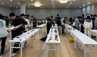 Jangheung County Mushroom Industry Research Institute Achieves Results in Collecting and Discovering Native Fungal Resources