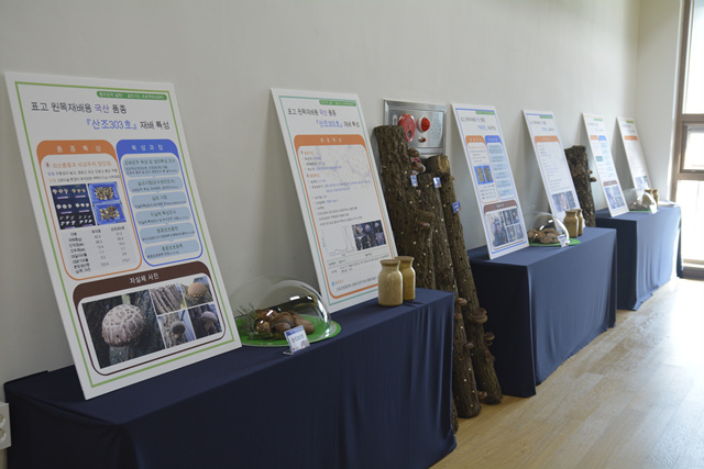 장흥목재산업지원센터에 전시된 장흥버섯의 특성을 나타낸 판넬과 전시 중인 버섯들의 모습