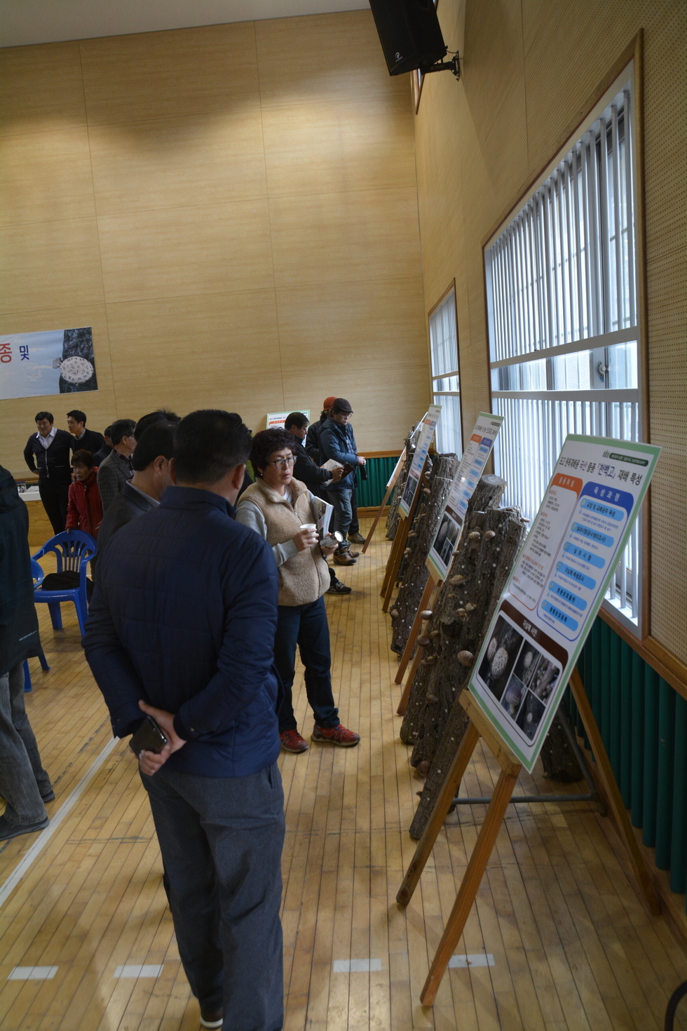 유치면 다목적회관에 전시된 원목품종의 설명이 있는 판넬과 버섯을 둘러보는 사람들