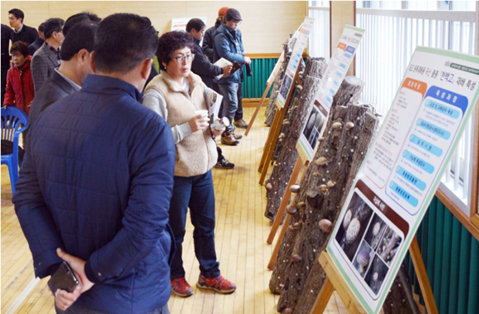 여러 사람들이 강당에서 표고버섯 재배 나무와 재배 나무 옆에는 관련 설명이 적힌 판넬들을 보며  둘러보고있는 모습을 담은 사진