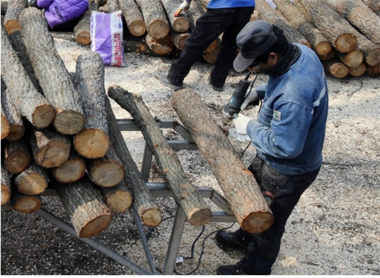 버섯 전문인역 양성에서 실습생들이 버섯재배를 위한 재배 나무를 작업하는 모습을 담은 사진